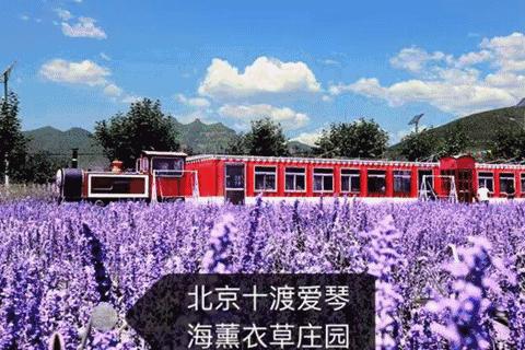 天津市游玩必去的地方一日游,天津一日游必去的十个地方