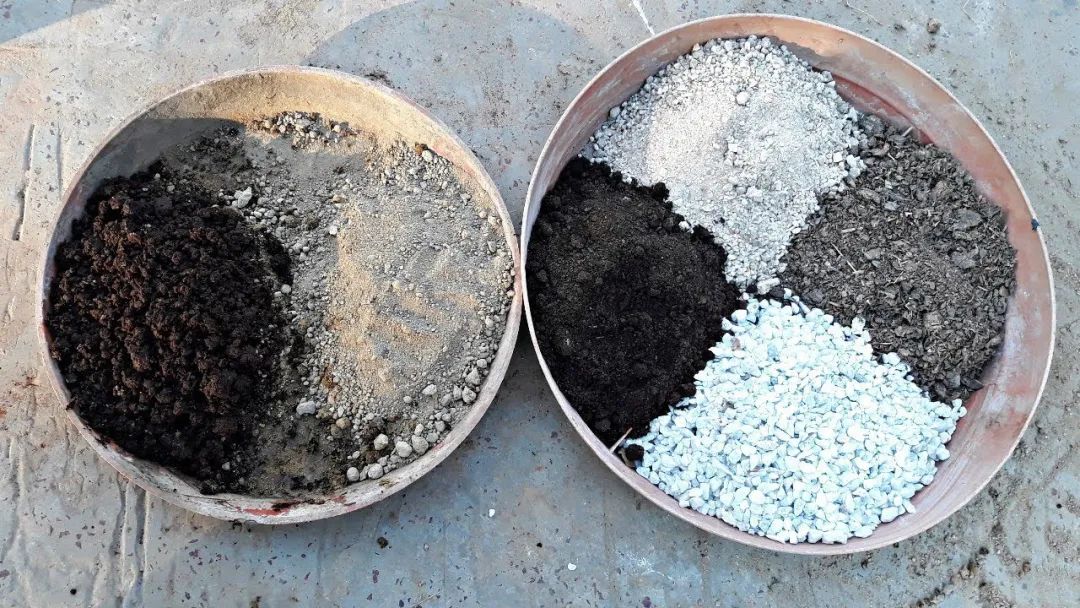 养多肉植物掌握几个要点,新手多肉植物如何养殖才能养得好