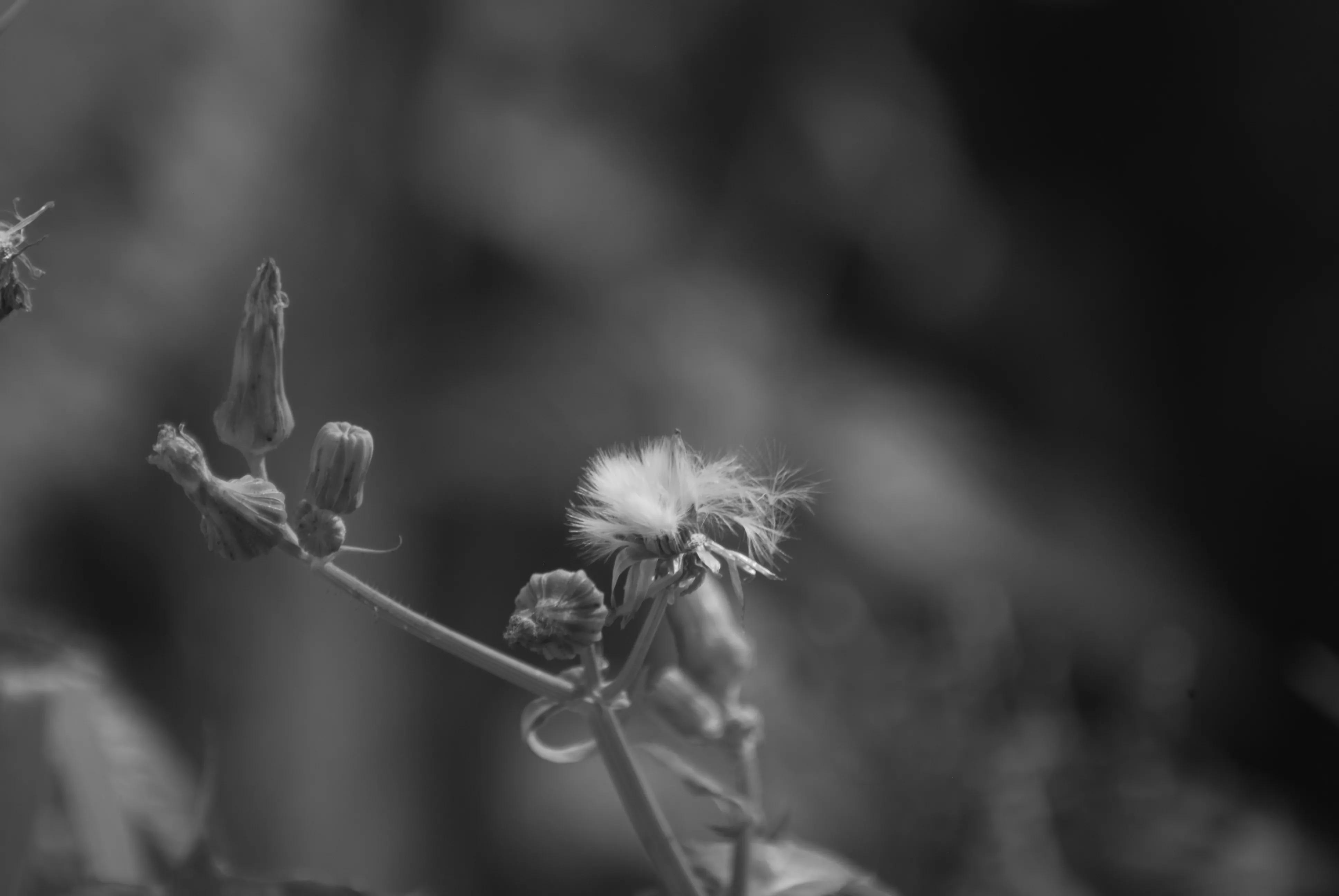 1000元二手全画幅单反相机推荐,2022最建议买的二手单反相机