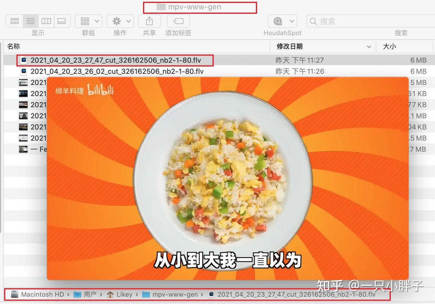 mpv播放器使用详解,mpv播放器安装与配置
