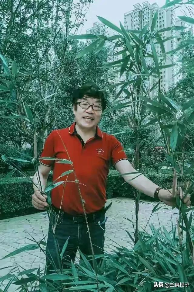 知青那些事儿全集,知青剧那些年那些事