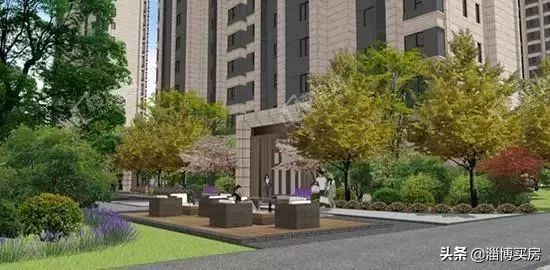 淄博张店区中小学划片,2022张店中小学划片查询