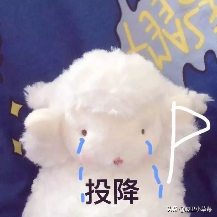 双11雅诗兰黛专柜活动,20年双11雅诗兰黛攻略