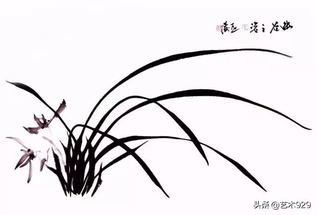 国画兰花画法免费技法教程,国画兰花绘画图