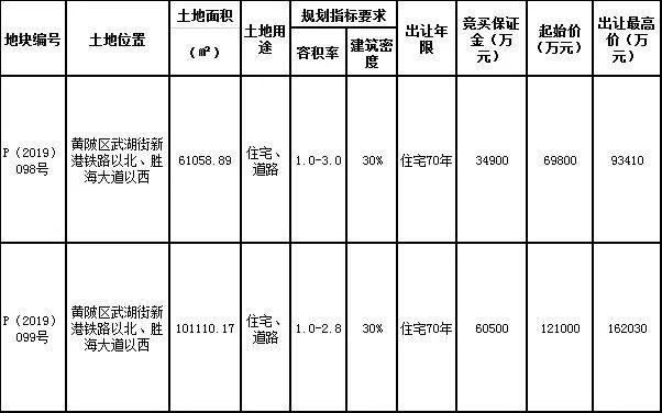 长江新城武湖30年发展,长江新城武湖2021新消息