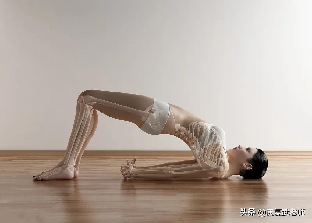 臀部肌群解剖,臀部肌功能解剖