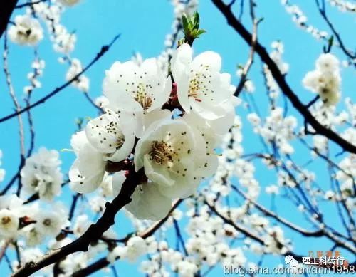 环境工程就业方向及前景,环境工程就业难吗