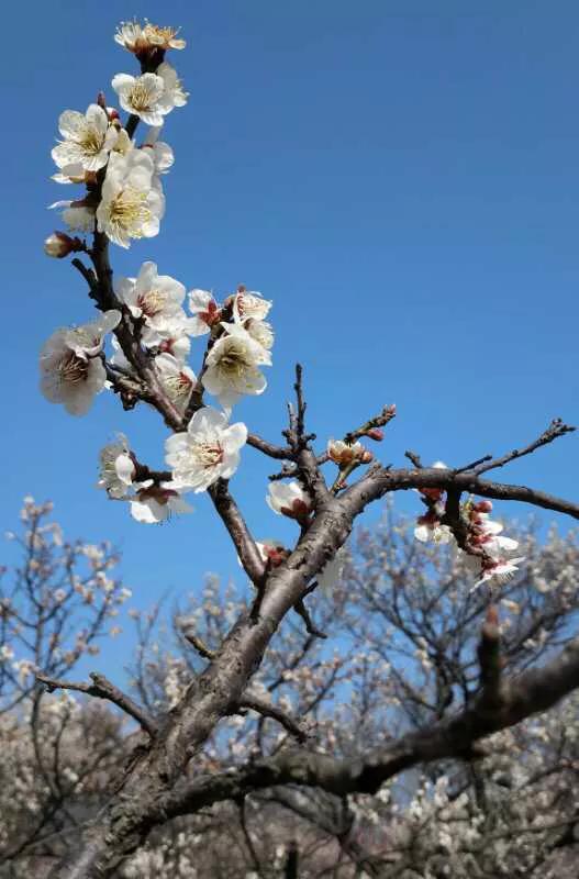 手拍世界摄影网,手拍世界完整版视频