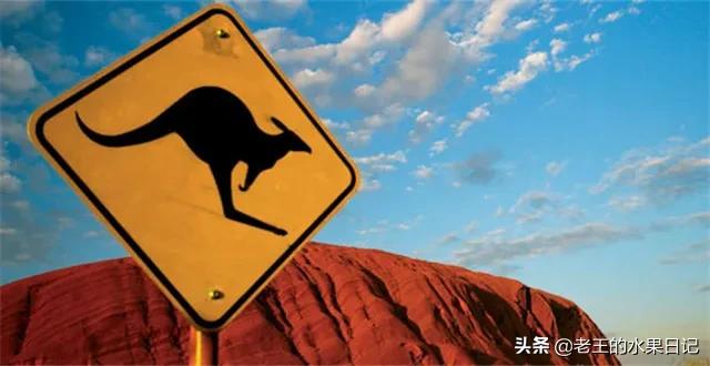 各国代购靠谱吗,世界各国代购现状