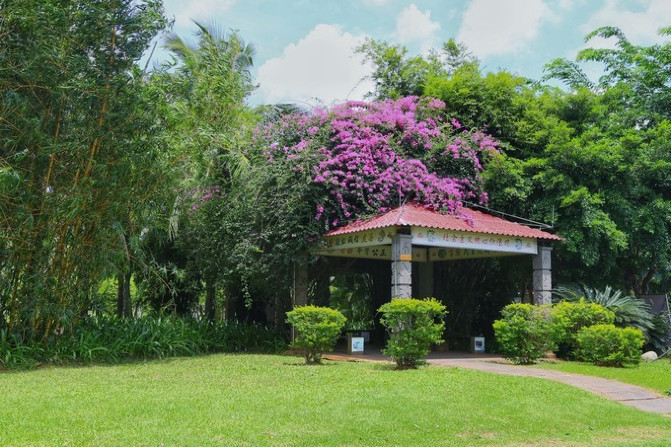 海南五日游之旅之海口,一起去海南玩的地方