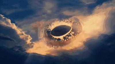 澳洲的蛤蟆有哪些,澳洲蛤蟆泛滥成灾