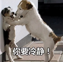 国庆网恋女友,国庆网恋奔现翻车