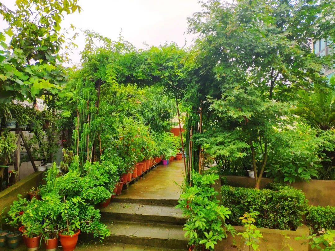 风景好的地方江阴,江阴好风景