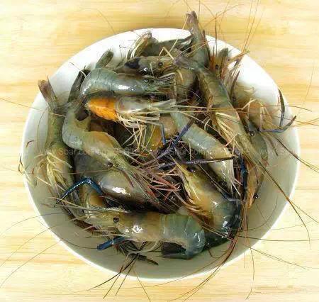 开海什么海鲜最好,开海季肥美海鲜