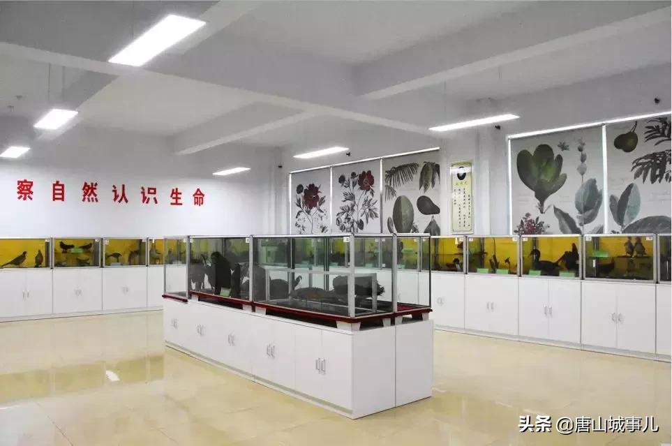 唐山四十九中地理位置,唐山四十九中招生条件