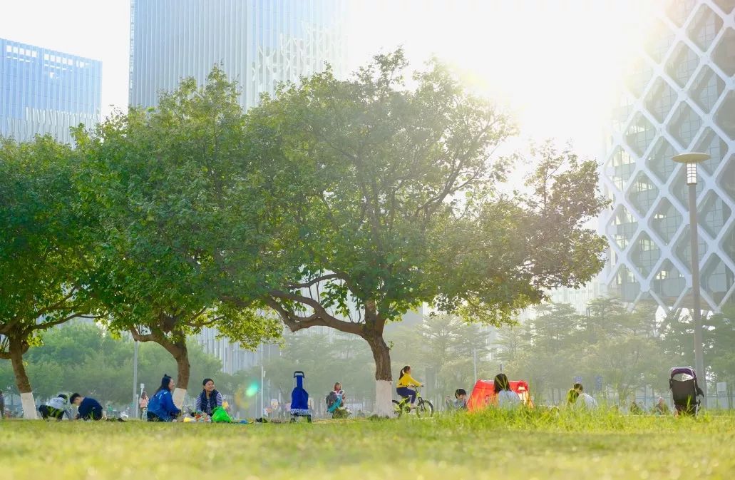 宝安西部中心,宝安的市中心