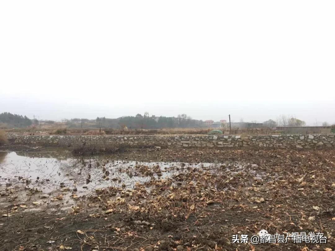 传家风立家规扬家训,传家训立家规扬家风