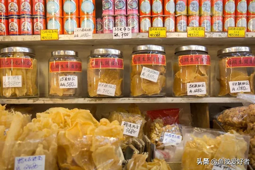 花胶怎么挑选公母,公花胶和母花胶怎样分别