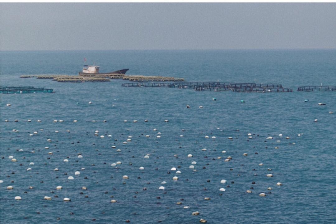 上海附近的小岛攻略,上海附近的海岛旅行攻略