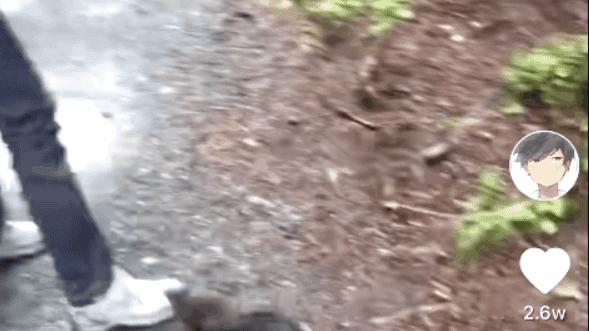 全球旅行攻略干货,全球旅行不为人知的秘密