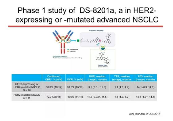 her2肺癌靶向药入集采了吗,肺癌her2靶向药治愈率