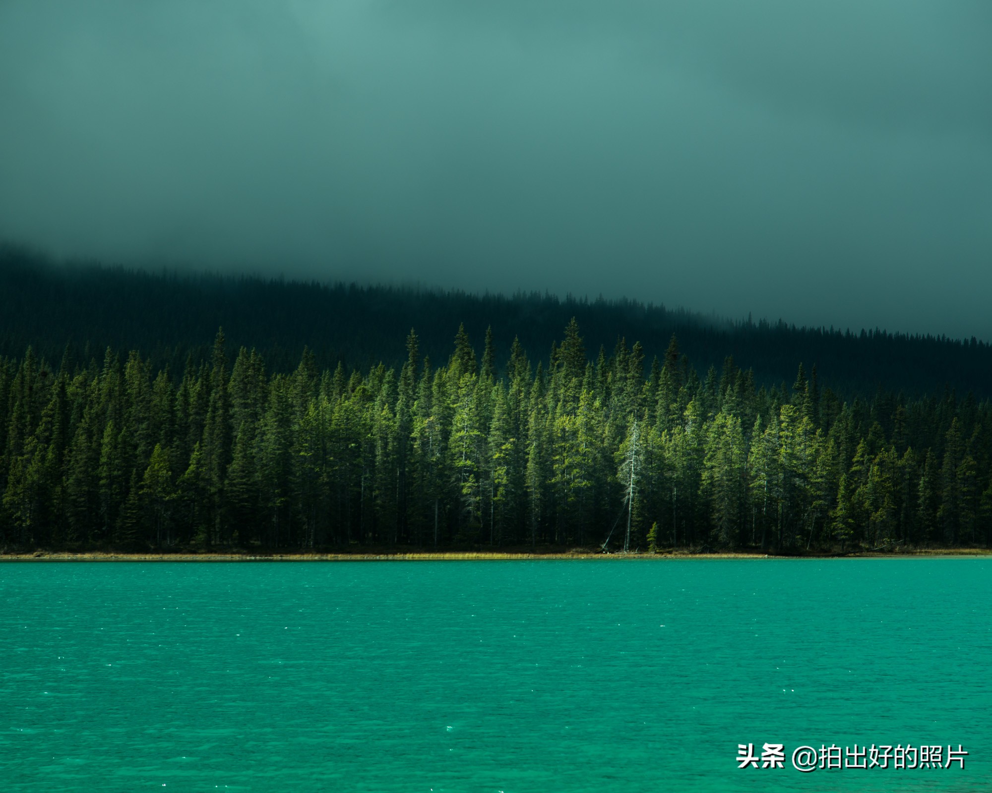 摄影中的三分法和九宫格构图,三分法构图摄影作品有哪些种类