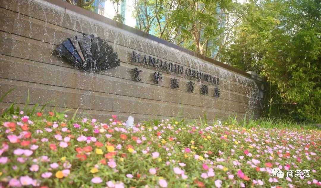 戴妃为什么喜欢老佛爷,为什么戴妃这么美