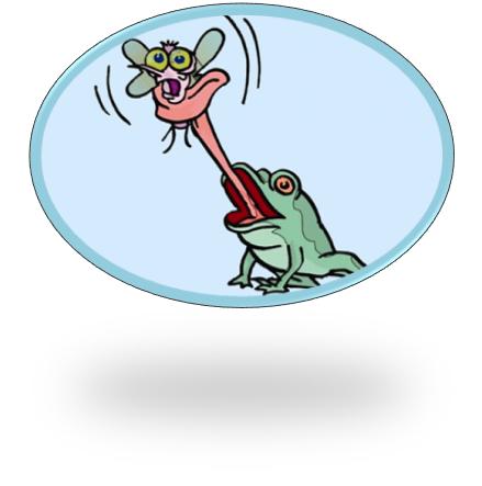 小学语文知识大集结练习十一,小学语文基础知识的练习册