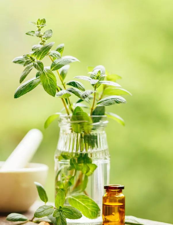 消除炎症的精油有哪些成分,十大必备的精油有哪些