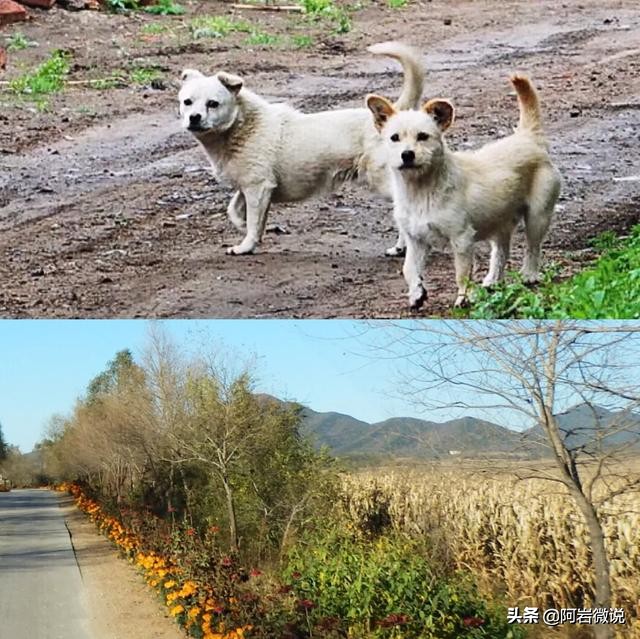 带着微信去旅行(一)磐石