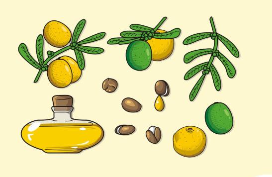 各精油的功能介绍,玫瑰精油介绍