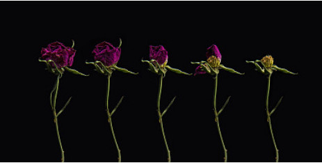 癌症患者抗癌的日记,癌症晚期的抗癌日记