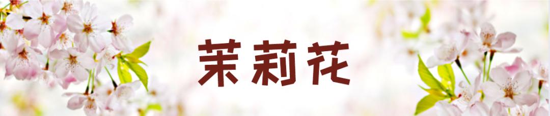 在云南，做一个“花吃”，挺好