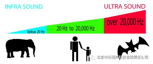 b超发出的声音是什么,做b超听咕噜咕噜的声音是什么