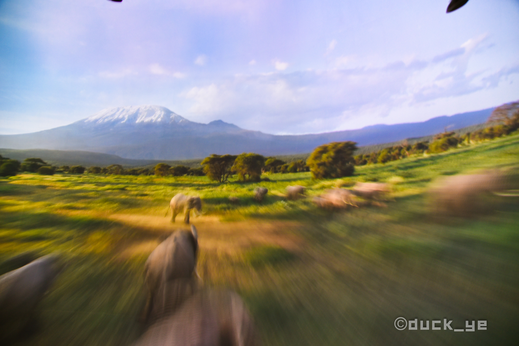 收好这篇攻略，佛系夫妻带你玩转上海迪士尼，选对时间至关重要