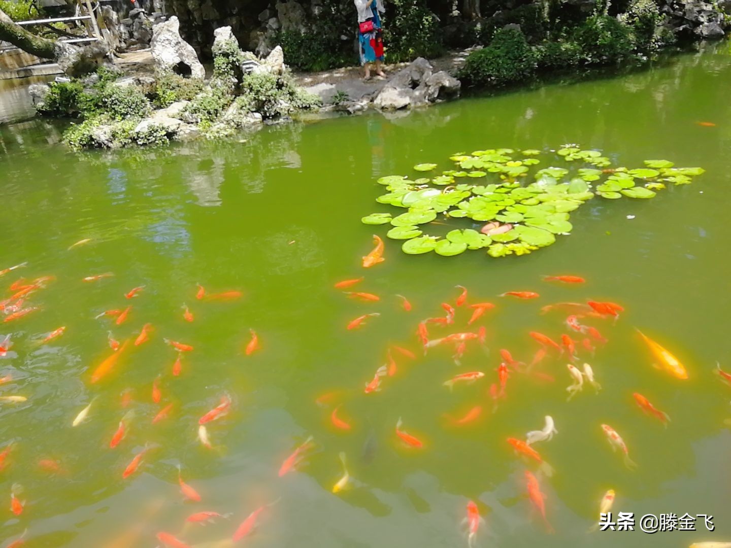 威海华夏城景区,威海华夏城简介
