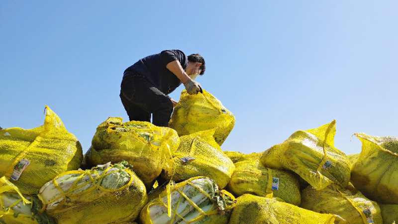 驰援武汉物资感动视频,驰援武汉医疗物资感动视频