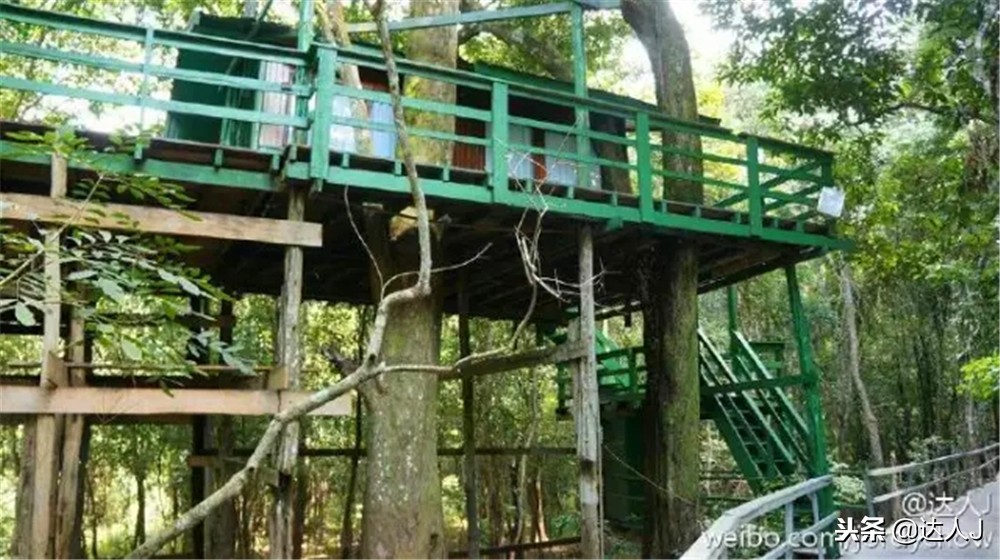 全国10大特色酒店,全国十大最具特色酒店