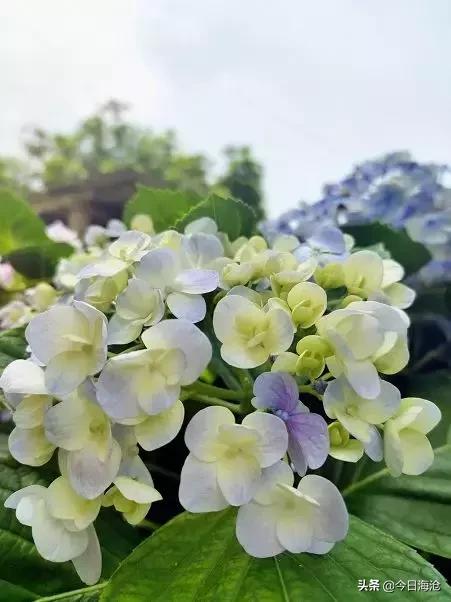 厦门中职考本科的学校,厦门中职学校招生网