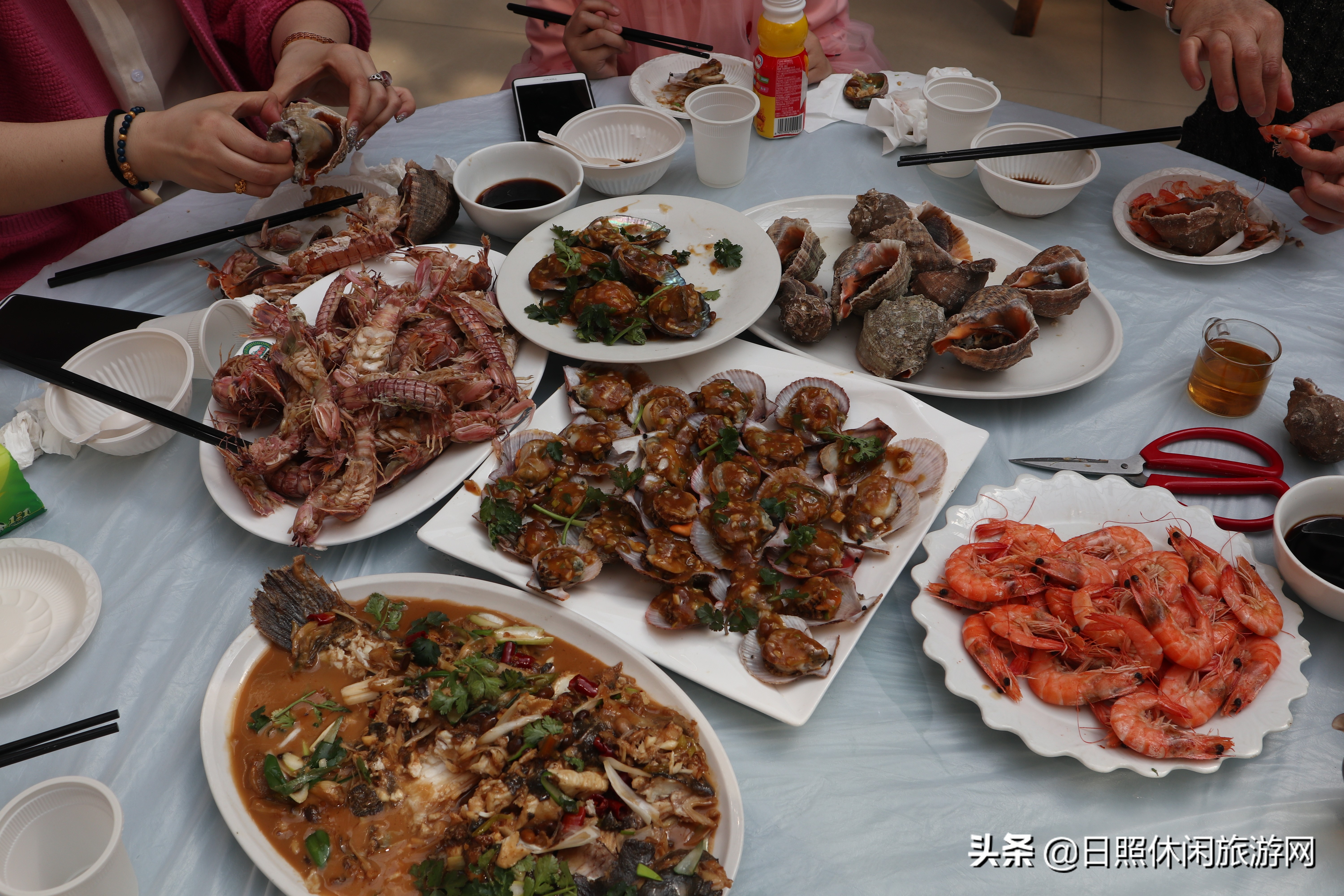 日照赶海之旅,日照冬季赶海旅游去哪里最好