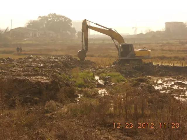 湖南最好的锦鲤养殖基地,湘潭锦鲤养殖