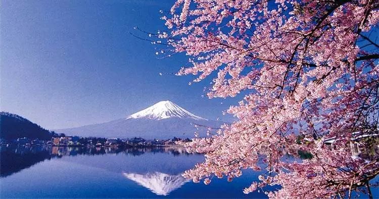 日本便利店杂志,日本便利店卖不出的便利