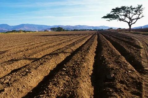 农村户口变城镇户口土地归谁,城镇化后农村的土地