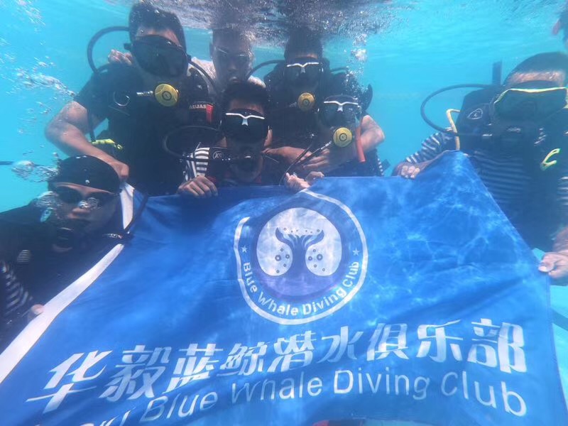 潜水的知识500字,潜水小知识大全