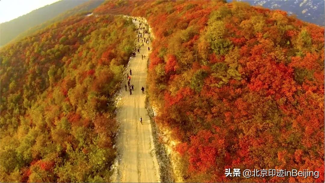 香山静宜园图片大全,香山静宜园二十八景