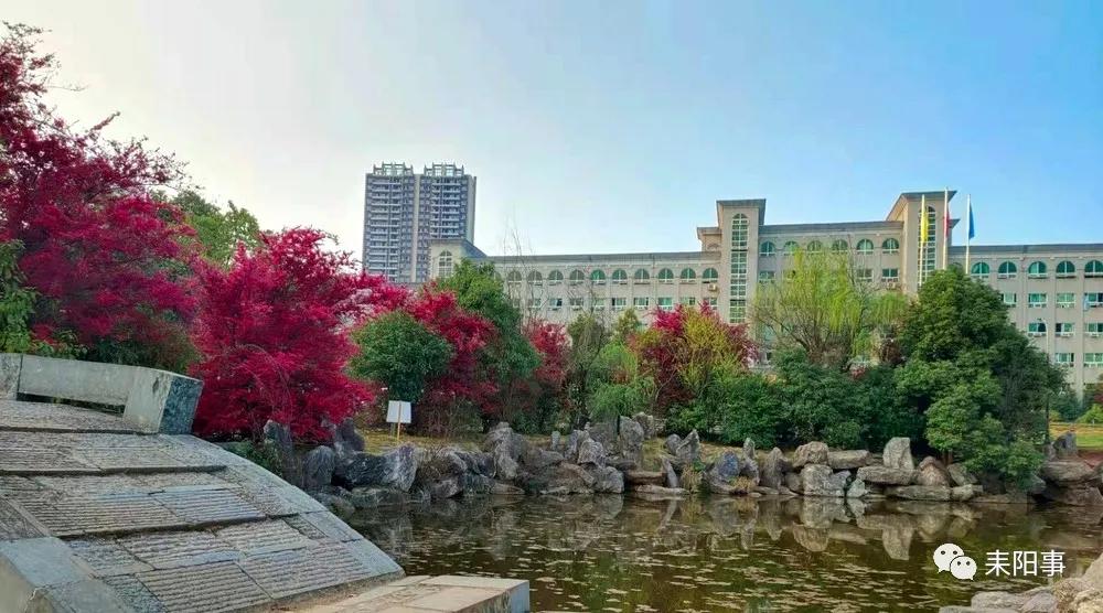 迎接校园里的百花齐放,教室窗外百花齐放