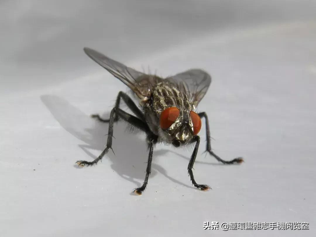 对地球有最大作用的东西,对地球有哪些影响