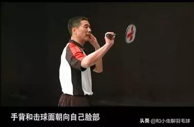 羽毛球基本动作文字介绍,羽毛球的动作描写