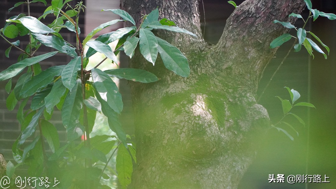 这个假期去哪玩会好一些,来禅泉酒店体验慢生活