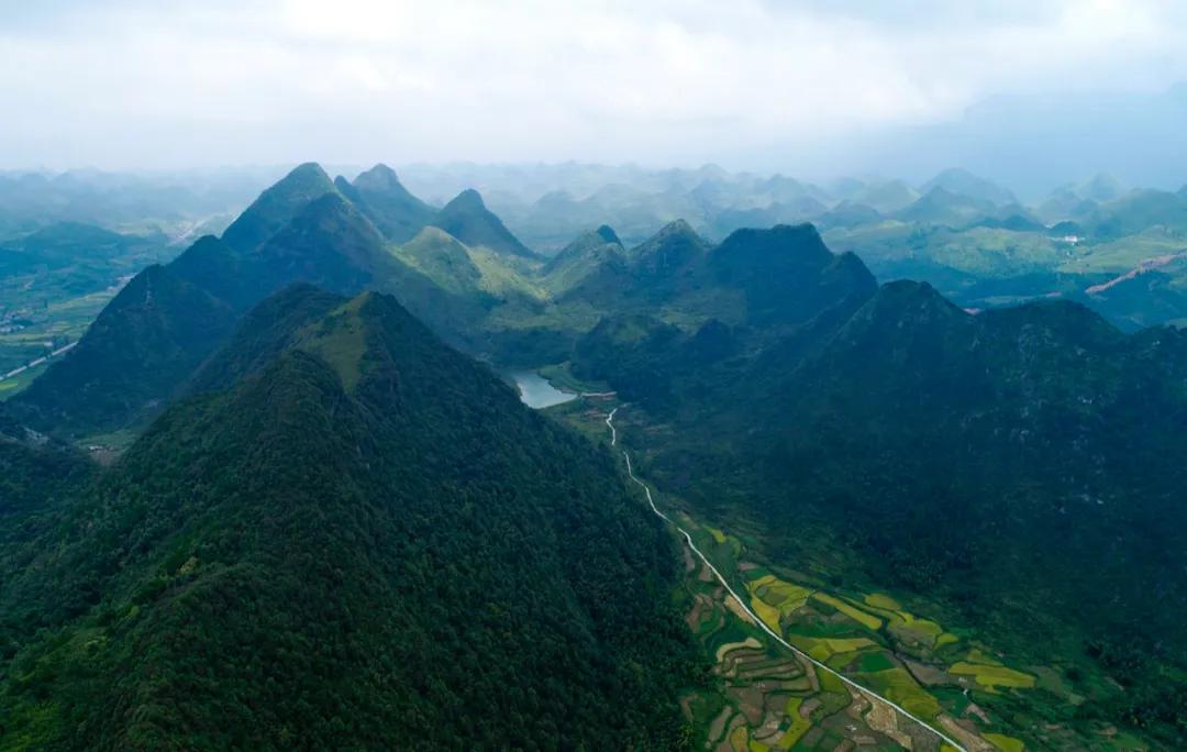 中国荔枝哪里好吃,哪个地方的荔枝最好吃最出名